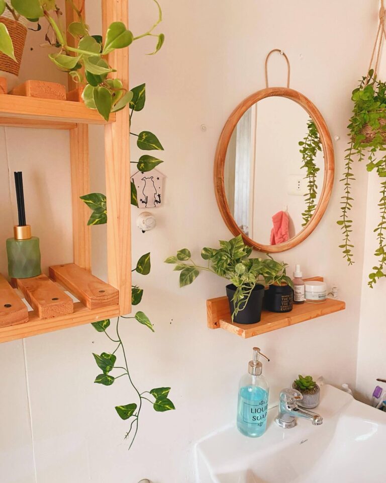 Bathroom Plant Setup