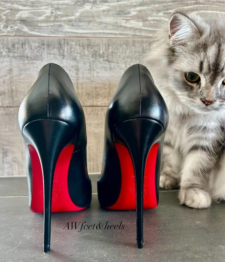 Cat-Inspired Heels