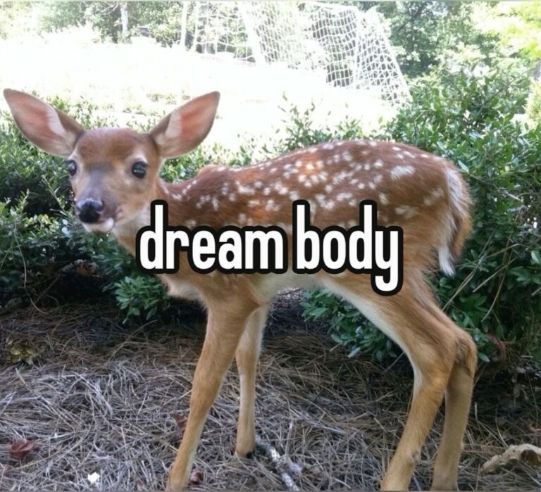 Fawn Inspiration