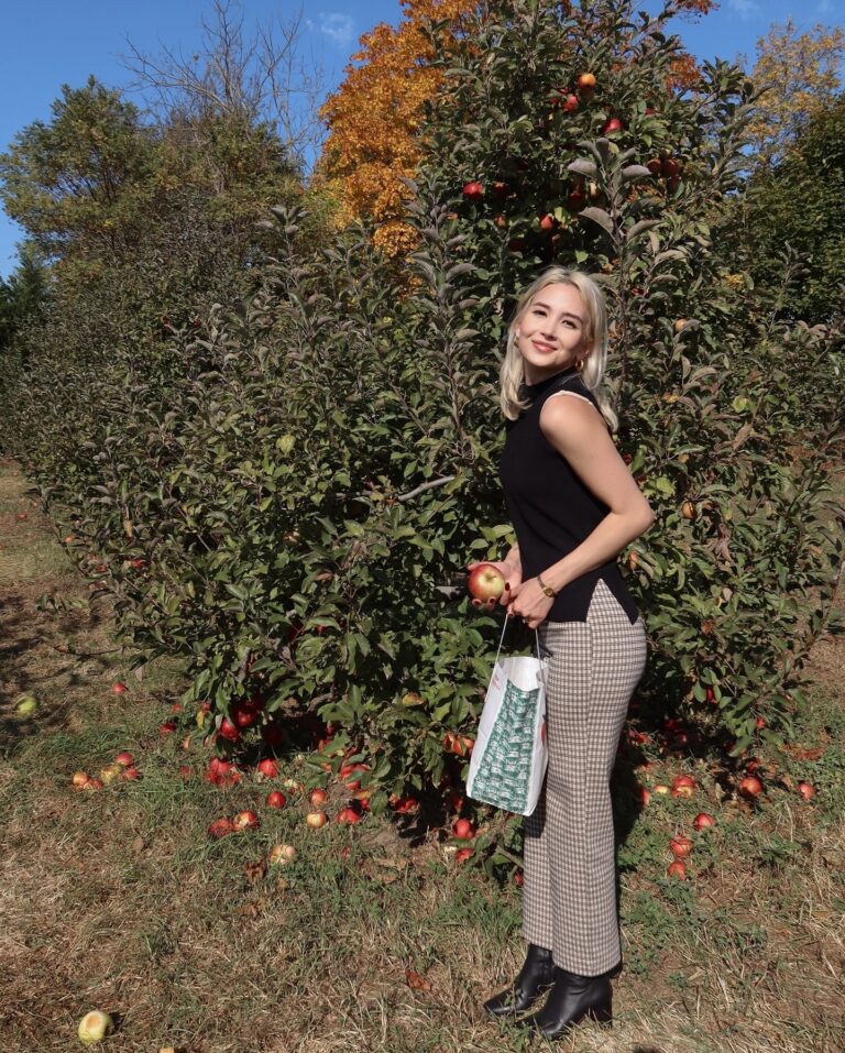 Orchard Visit