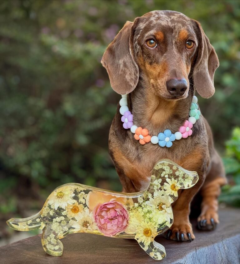 Pooch with Floral Flair